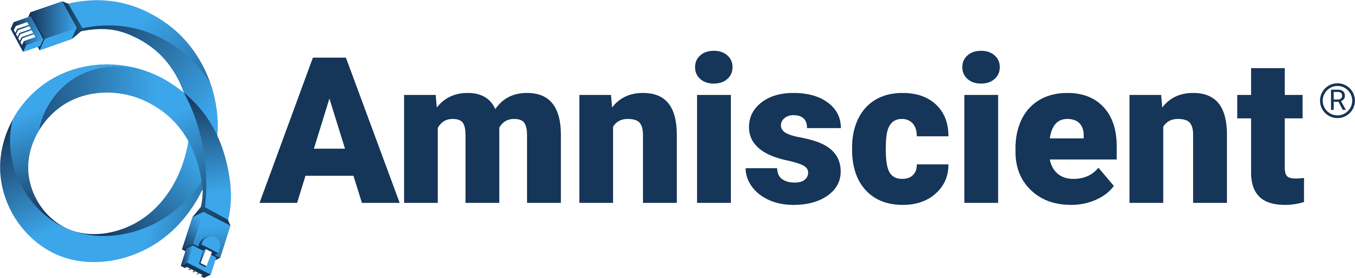 Amniscient logo